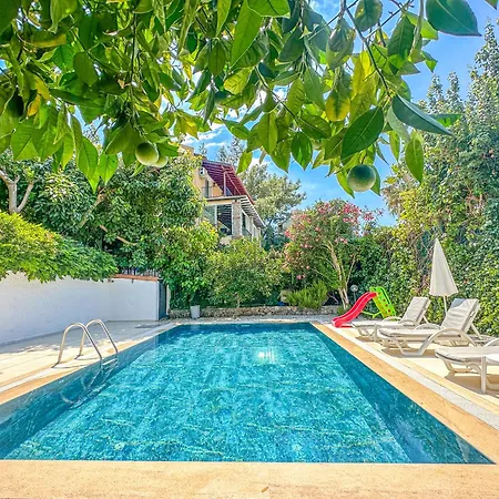Mozaik - Oludeniz,fethiye Villa Fethiye