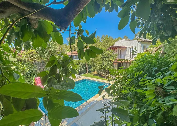 ヴィラ Dylan - Oludeniz,fethiye フェティエ