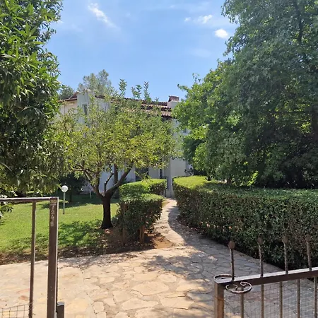 Dylan - Oludeniz,fethiye