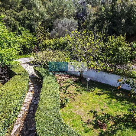 Dylan - Oludeniz,fethiye *